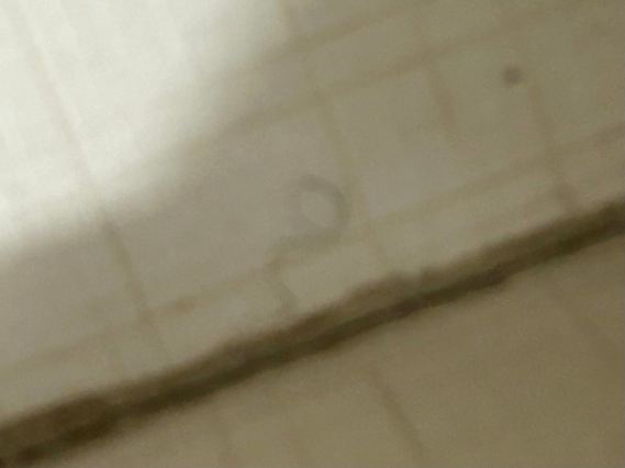 希尔顿惠特斯敦印第安纳波利斯西北区Home2 Suites酒店-官方