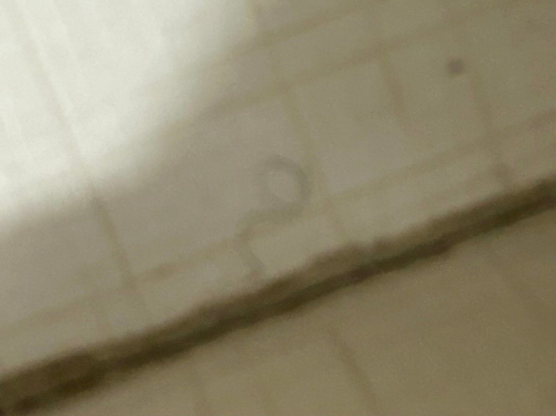 Home2 Suites by Hilton Whitestown Indianapolis NW主图