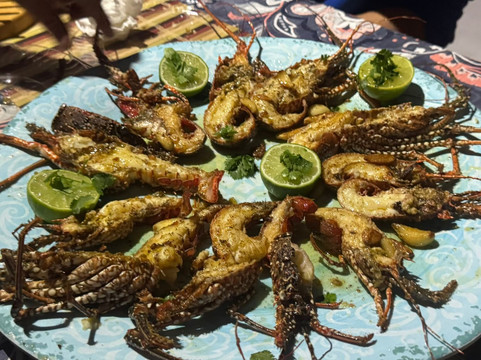 Island Vibes-迈阿密海滩必去景点