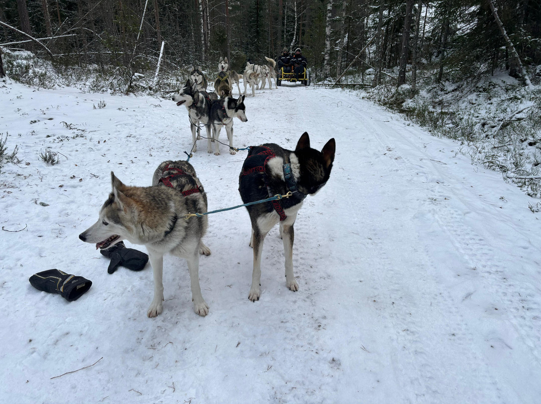 Arctic Expedition-埃斯波必去景点