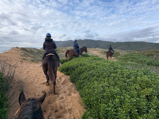 Tre Stelle Sa Mandra-阿尔盖罗必去景点