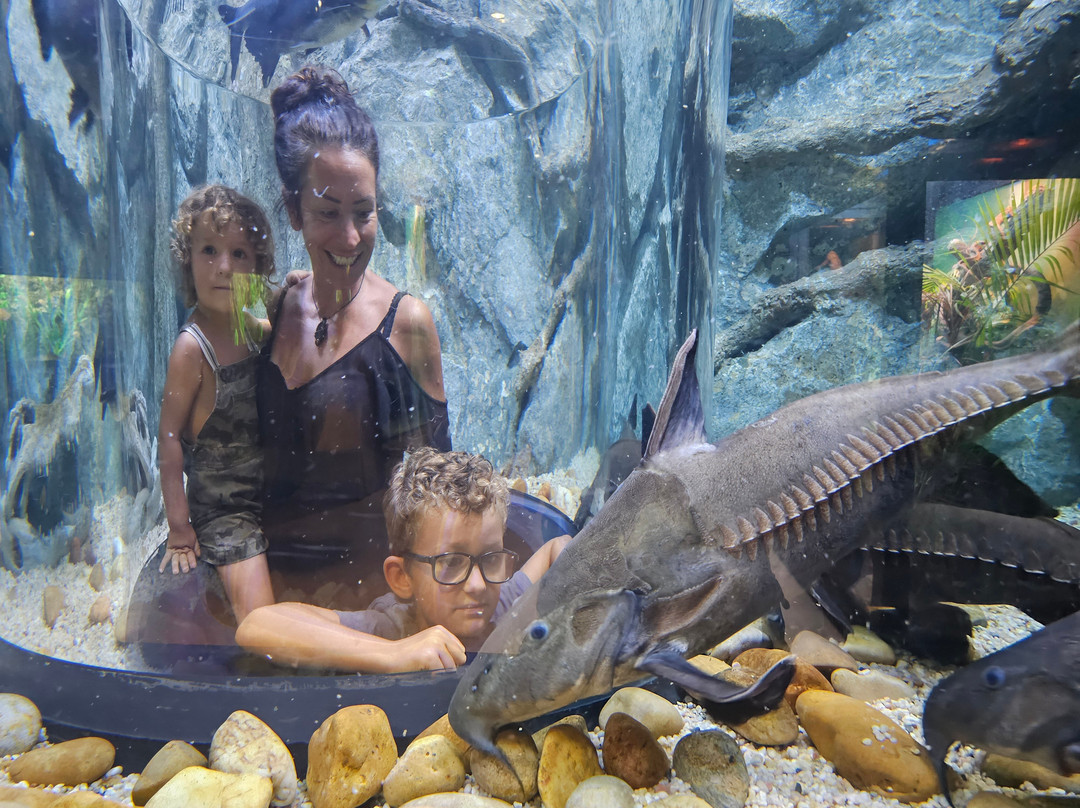 Angkor Wildlife & Aquarium-暹粒必去景点