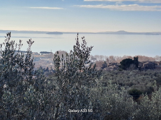 Ludwig Boutique Hotel主图