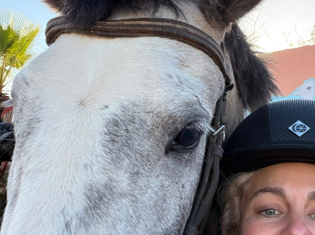 Cheval Agadir Ranch Acienda-奥瑞尔必去景点