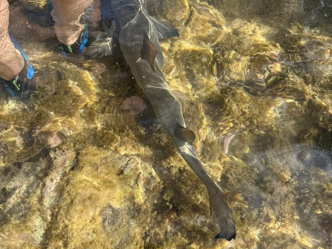 Explore Cape Verde-圣塔玛丽亚必去景点