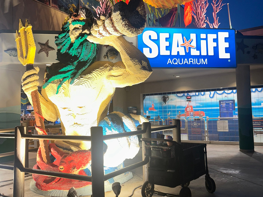 SEA LIFE Aquarium-卡尔斯巴德必去景点
