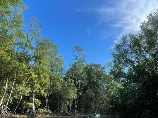 Nature Tours Gabriela-诺萨拉必去景点