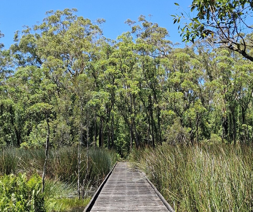 Hunter Region Botanic Gardens-史蒂芬斯港必去景点
