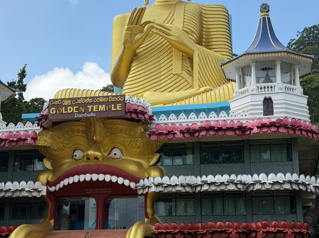 Jonty Tours-巴拉碧提雅必去景点