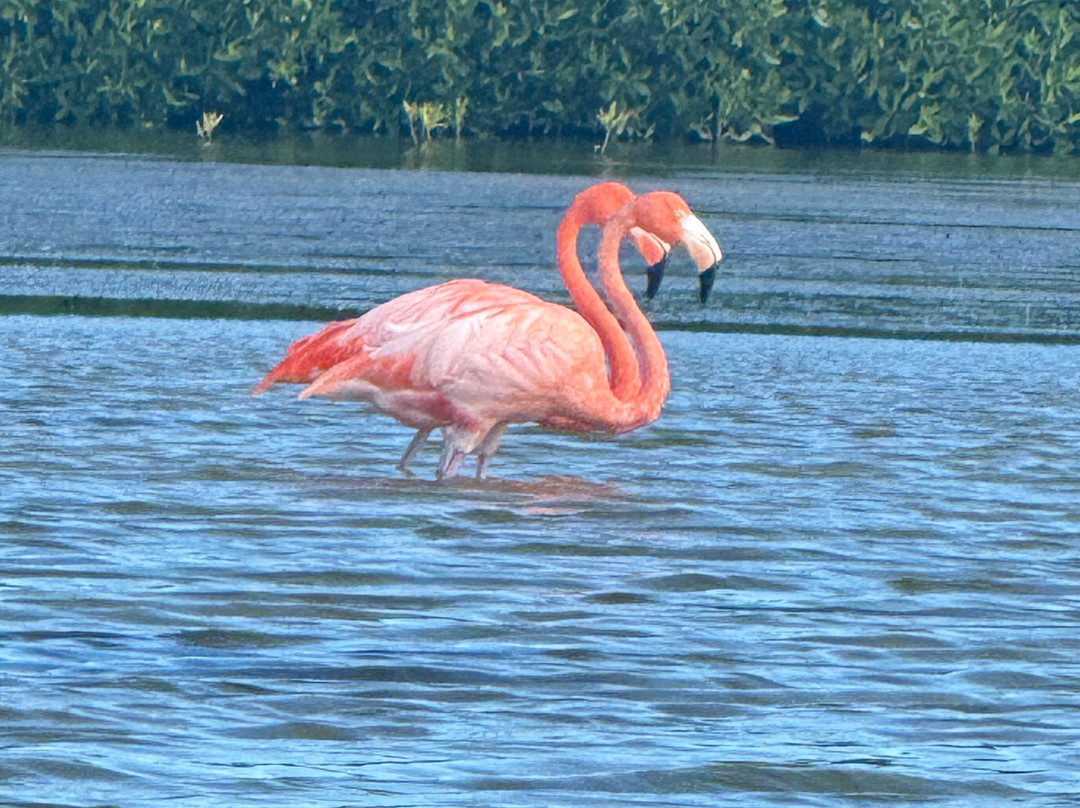 Ensisal Tours-Sisal必去景点