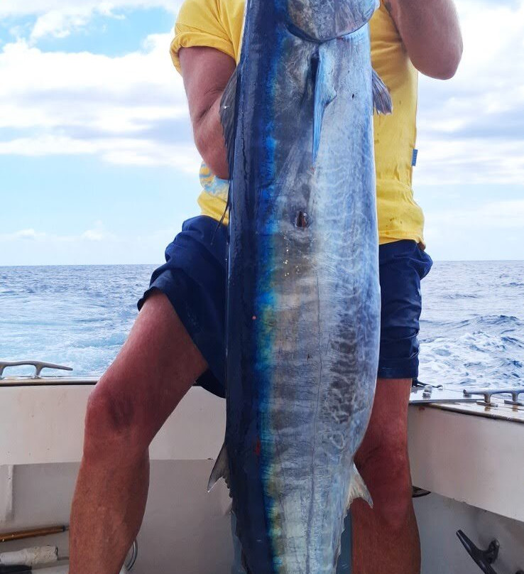 Le Trio Fishing-阿尔比恩必去景点