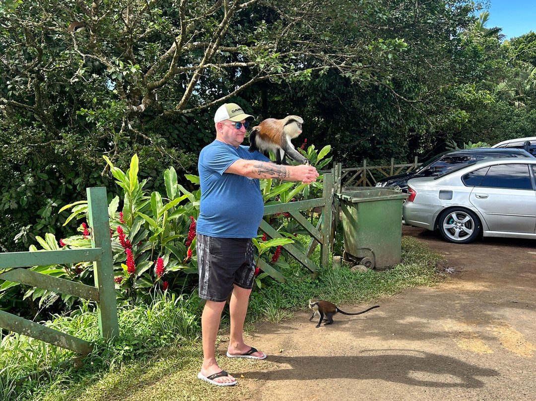 Sun Hunters-Saint George Parish必去景点