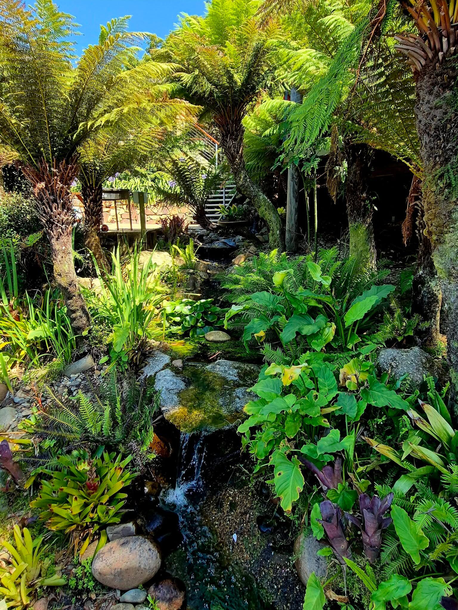 塔斯拉海滩楼-浴室