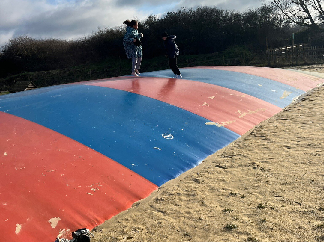 Marsh Farm Animal Adventure Park-Woodham Ferrers必去景点