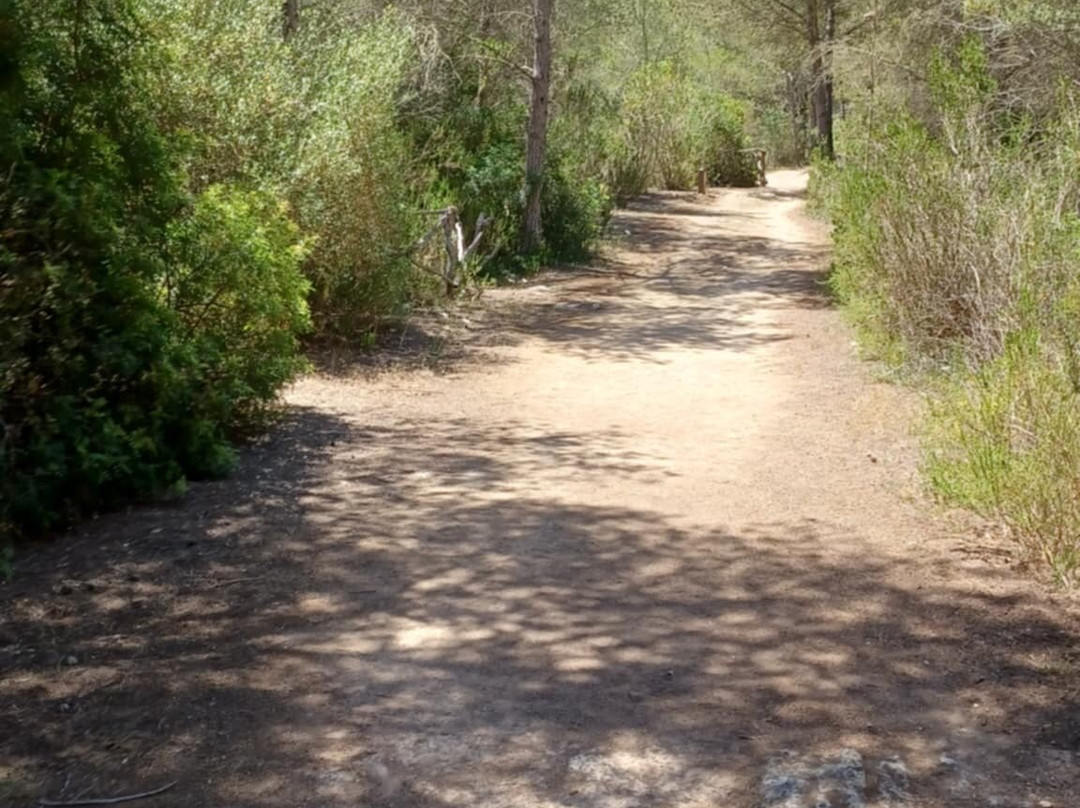 Cami de Cavalls-Mahon必去景点