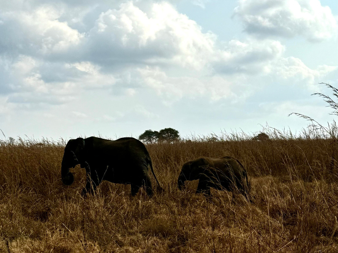 Nana Tours Zanzibar-Kendwa必去景点