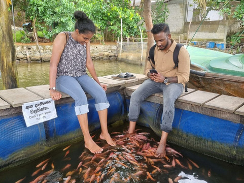 c4tours-哈顿必去景点