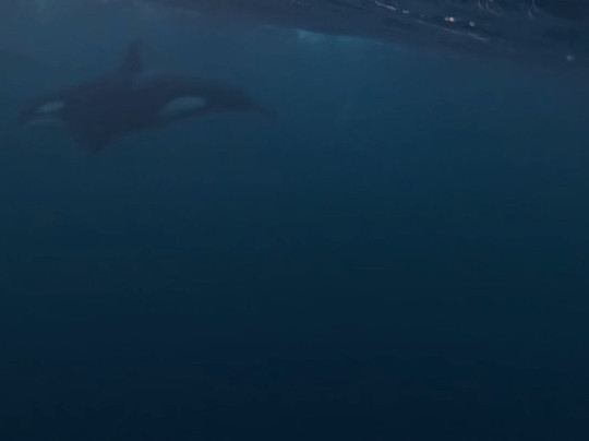 Lofoten Opplevelser-霍宁斯沃格必去景点