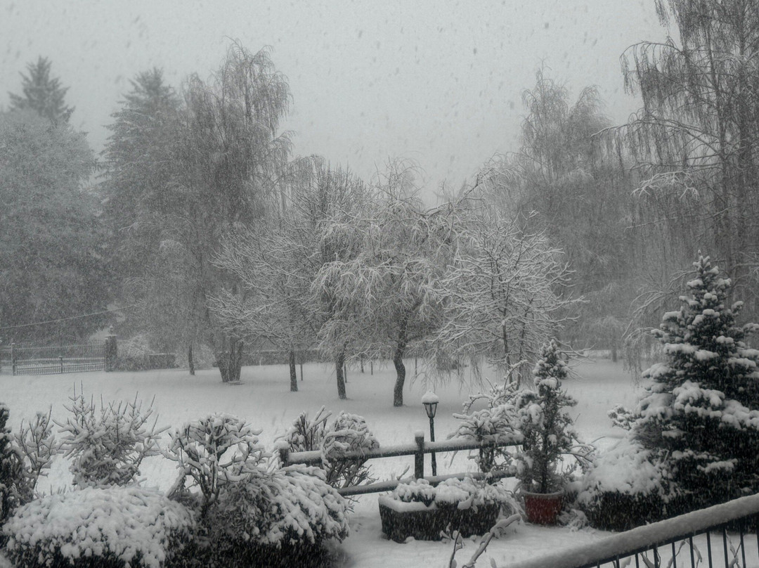 可科恩酒店主图