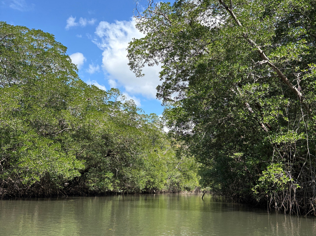 Blessing Tours-Area de Conservacion Guanacaste必去景点