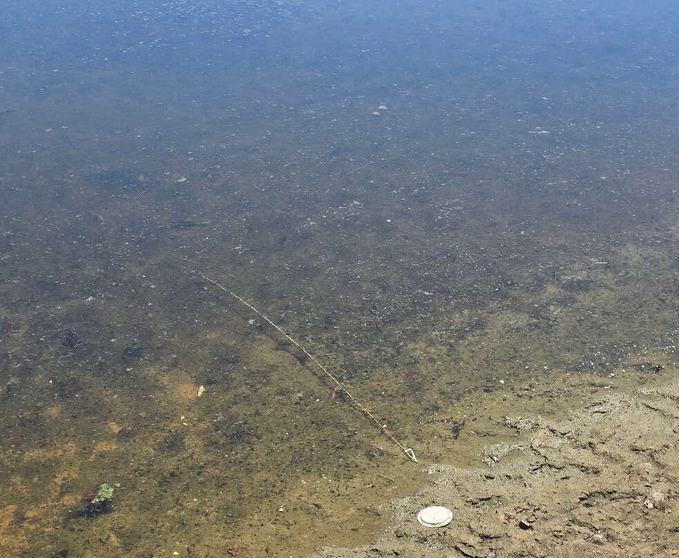 Praia De Buraquinho-Lauro de Freitas必去景点