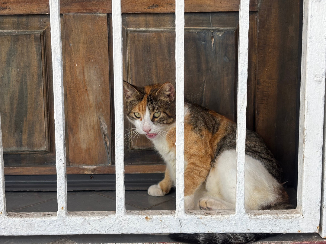 Faro Mazatlán-马萨特兰必去景点