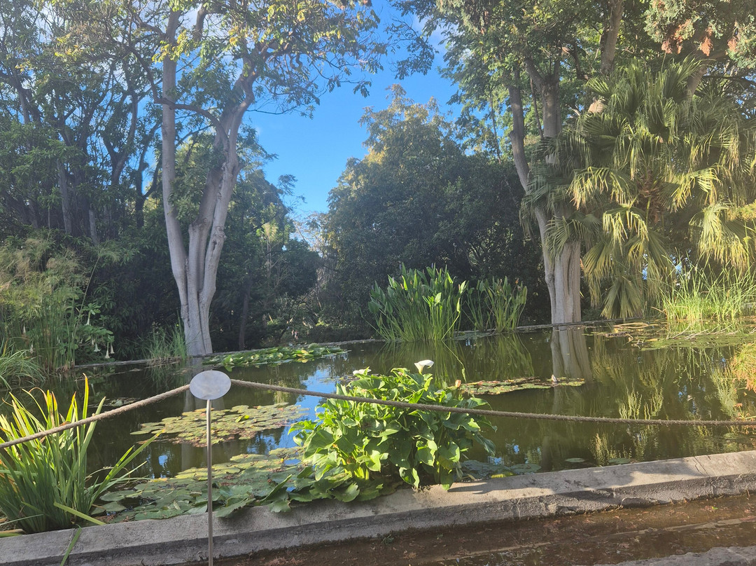 Botanischer Garten-德拉克鲁兹索尔港必去景点