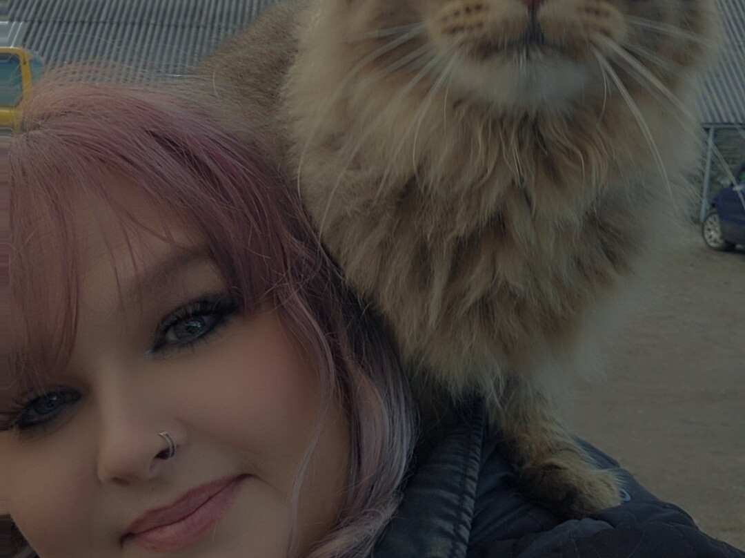 Geise Farm-Thurso必去景点