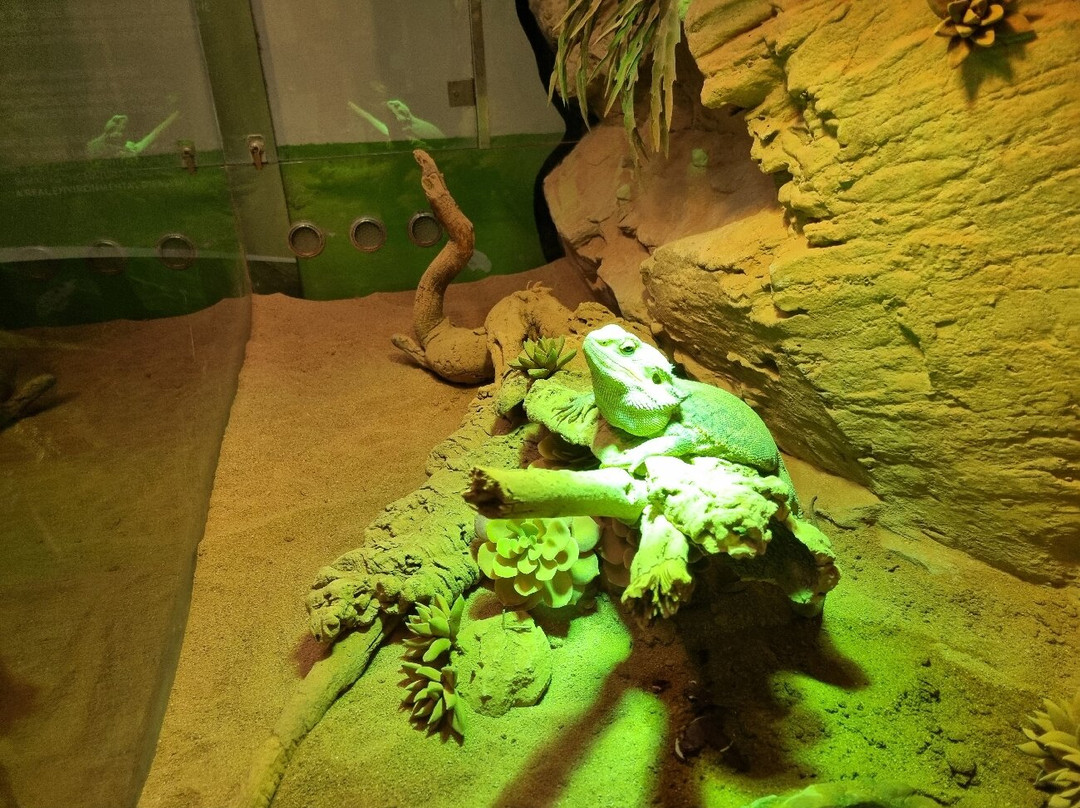 Acquario Di Livorno-里窝那必去景点