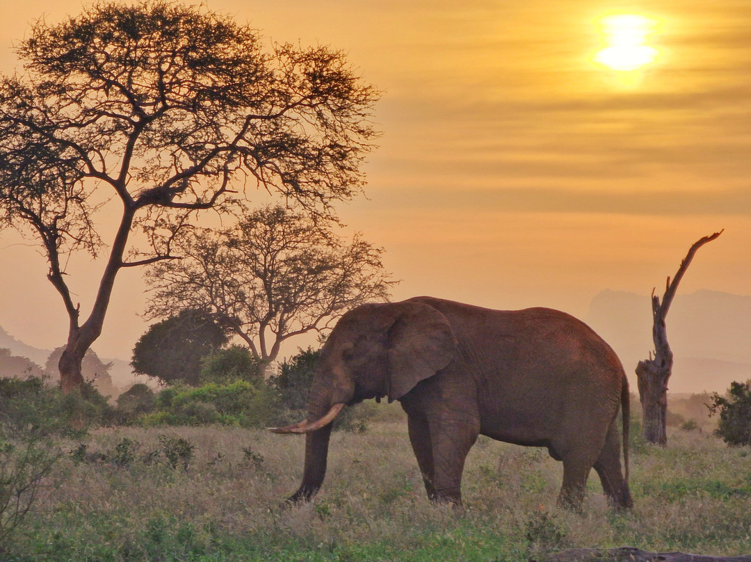 Abdull Safari Kenya-瓦塔木必去景点