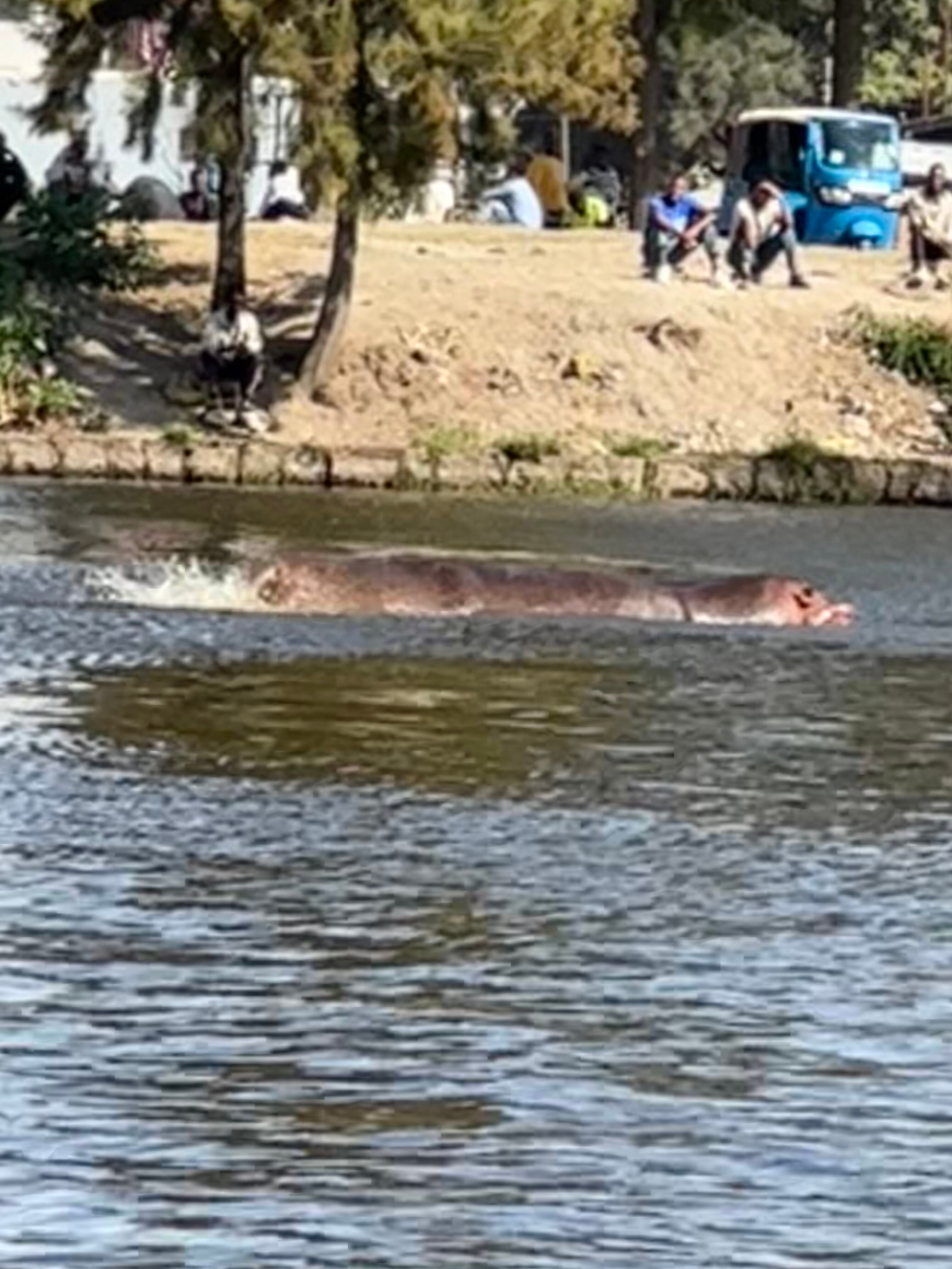 Haile Resort Hawassa-官方