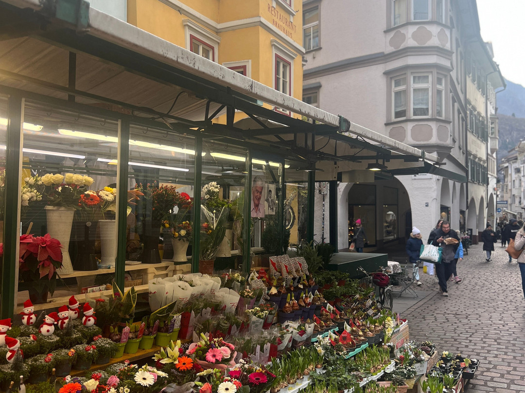 Piazza Walther-博尔扎诺必去景点