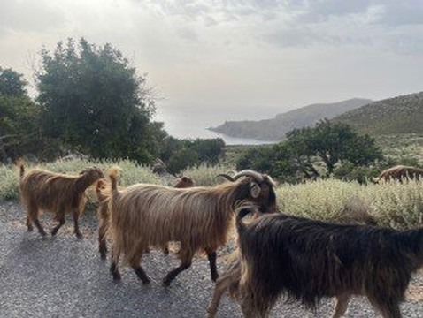 Glykeria Hotel主图