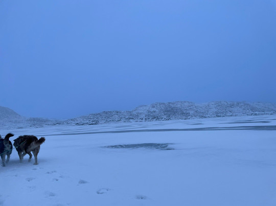 Diskobay Tours-伊卢利萨特必去景点