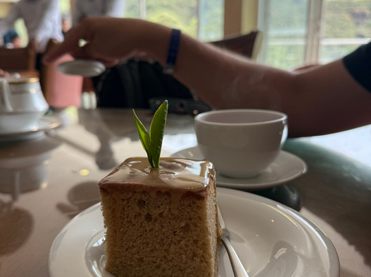 Shashika Tours Sri Lanka-希克杜沃必去景点