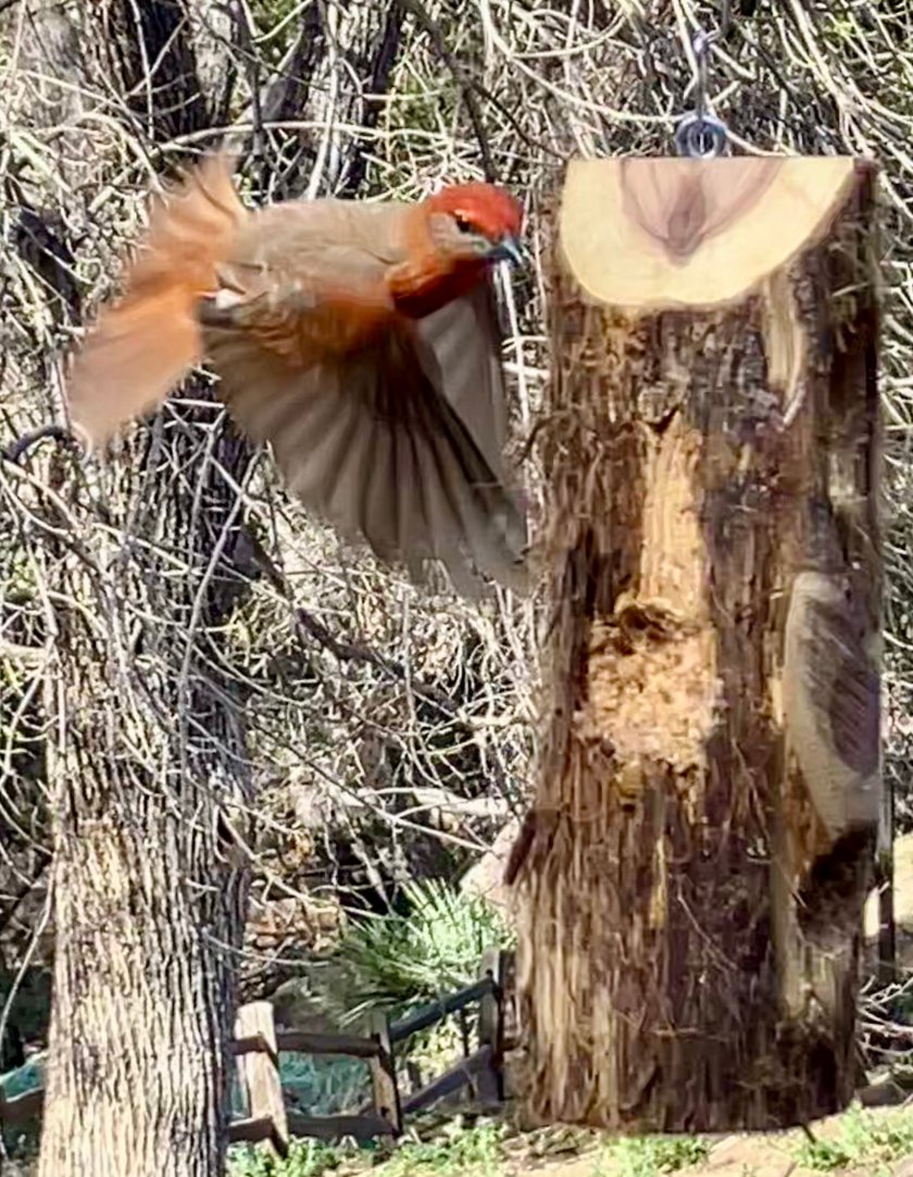 Santa Rita Lodge-浴室