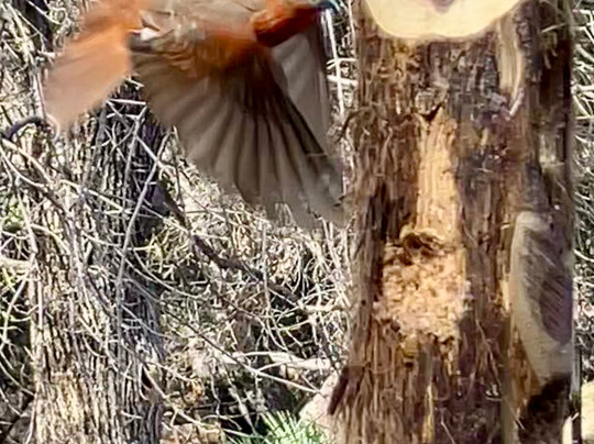 Santa Rita Lodge主图