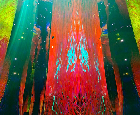 teamLab Phenomena Abu Dhabi-阿布扎比必去景点