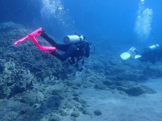 Scuba Barry LLC-维雷亚必去景点