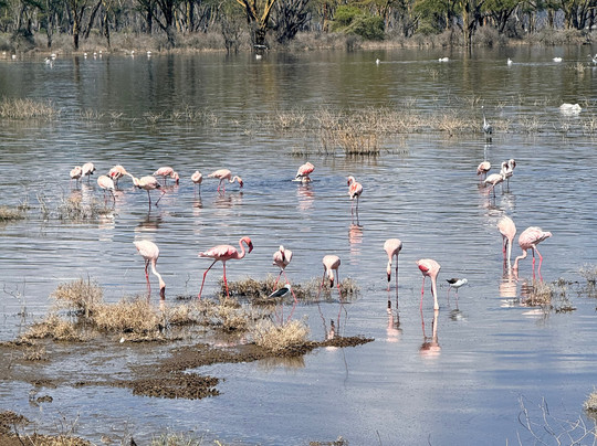 African Quest Safaris-蒙巴萨必去景点