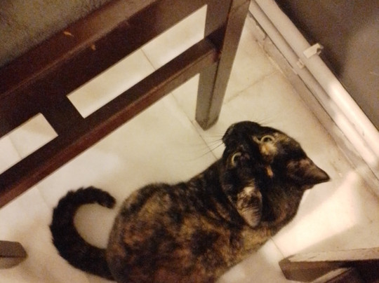 Sandıklı Termal Otel主图