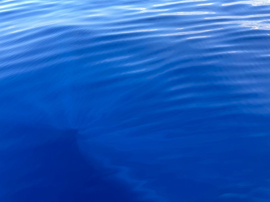 Da Whale Boat: Big Island Humpback Adventures-卡威哈也必去景点