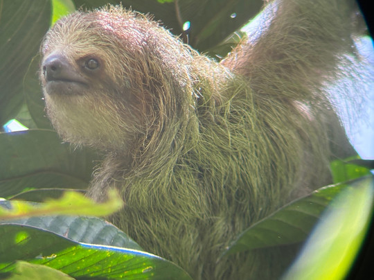 Blessing Tours-Area de Conservacion Guanacaste必去景点
