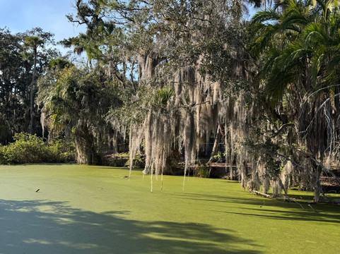 Jungle Adventures A Real Florida Animal Park-Christmas必去景点