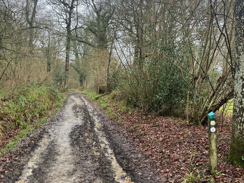 Scotney Castle Estate Walking Trails-Lamberhurst必去景点