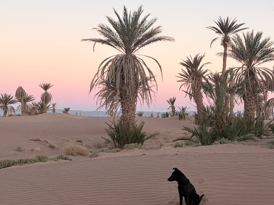 On Desert Travel-迈哈米德必去景点