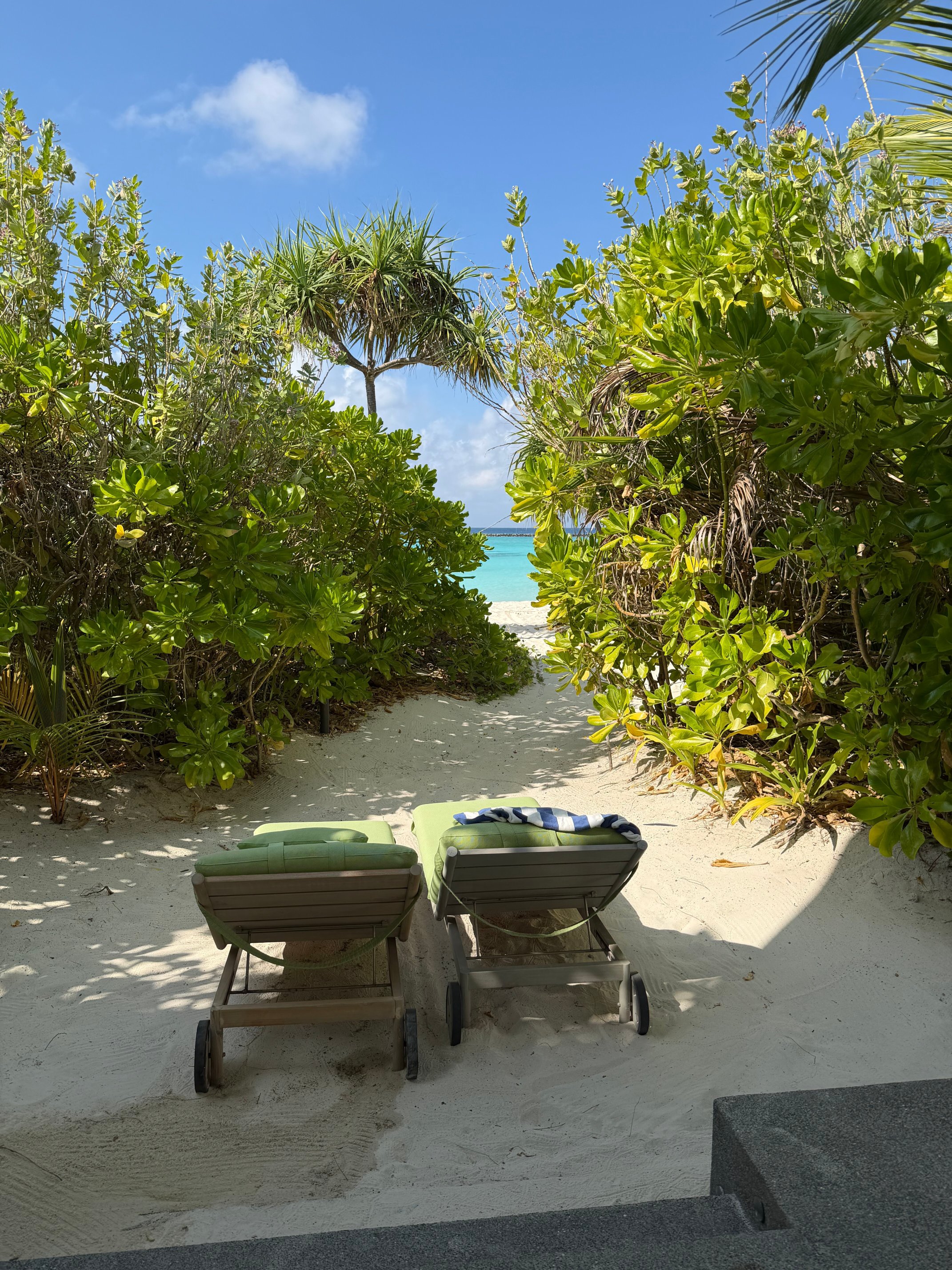 Raaya By Atmosphere-官方