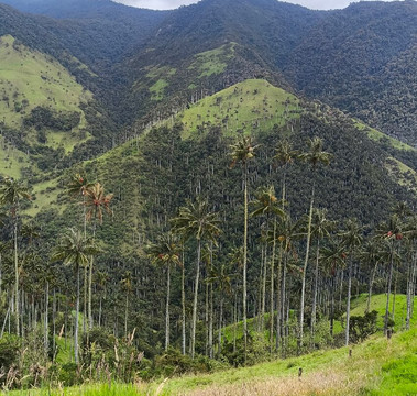 Andes Adventure-萨伦托必去景点