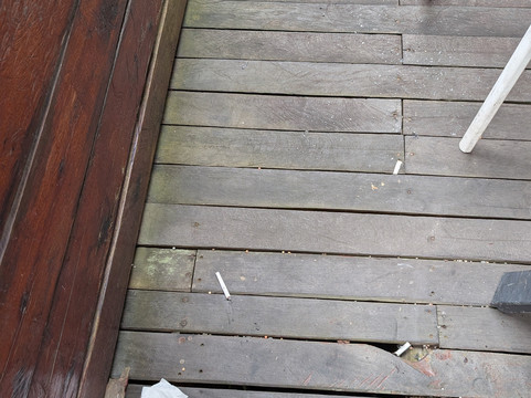 Borneo Sepilok Rainforest Resort主图