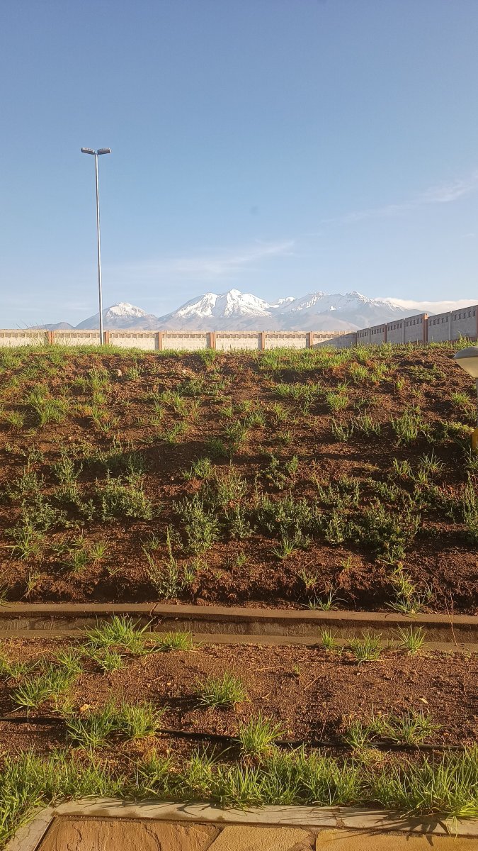 DM Hoteles Arequipa-官方